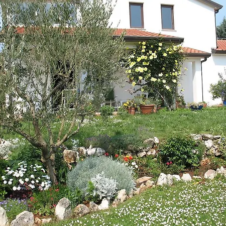 Apartment Mira Umag